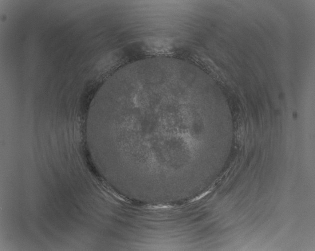 X0000051890658200506241350