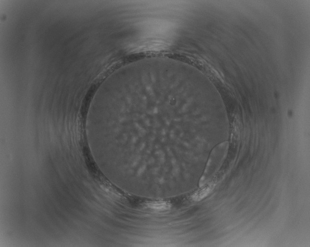 X0000051890659200506241350