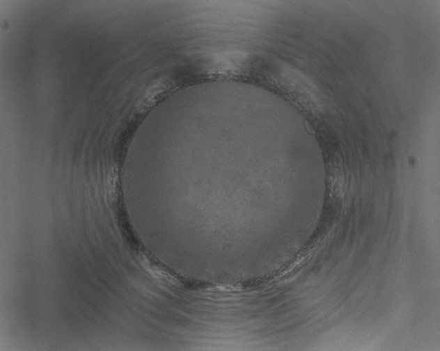 X0000051890660200506241350