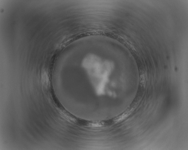 X0000051890662200506241350