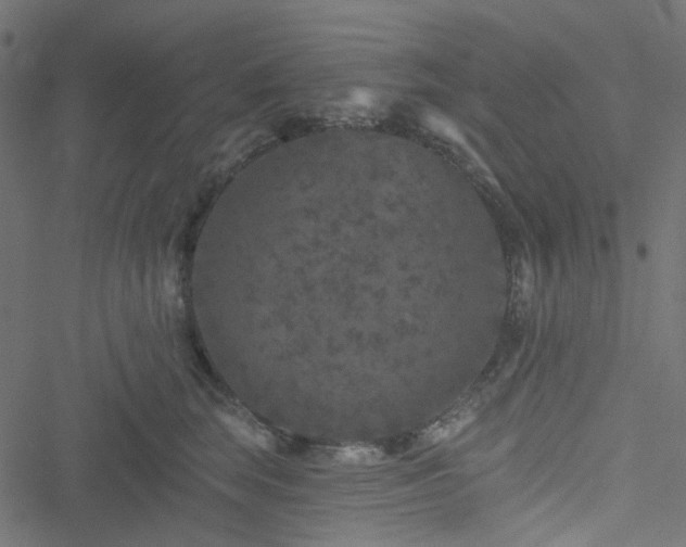 X0000051890663200506241350