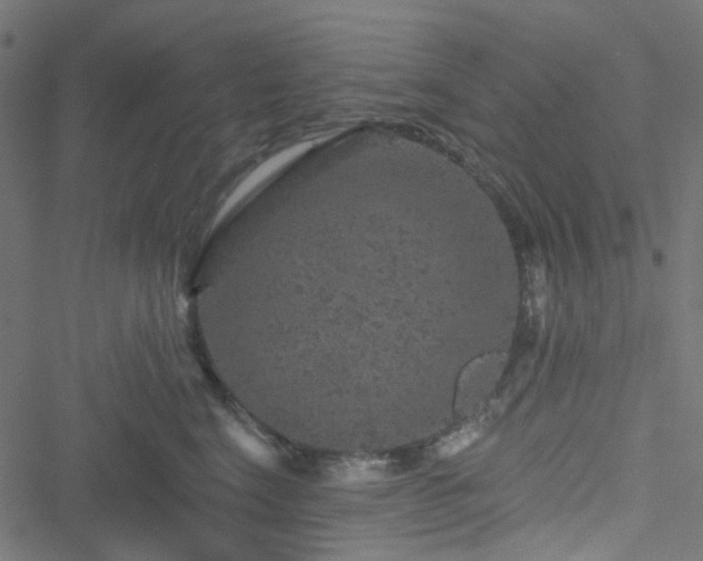 X0000051890664200506241350