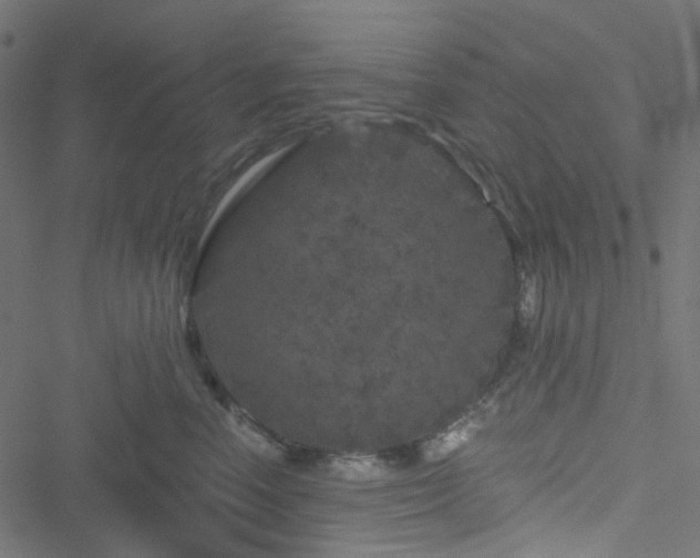 X0000051890666200506241350