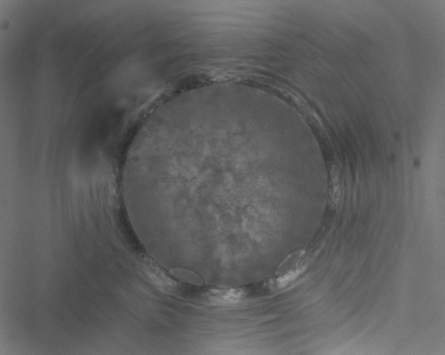 X0000051890667200506241350