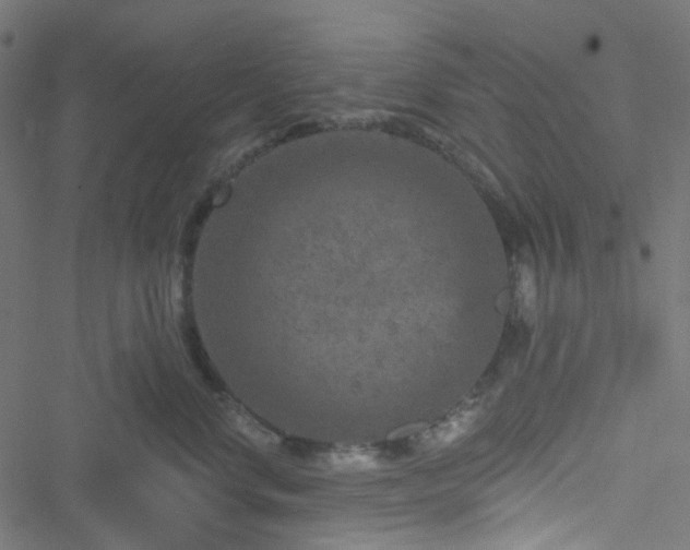 X0000051890668200506241350