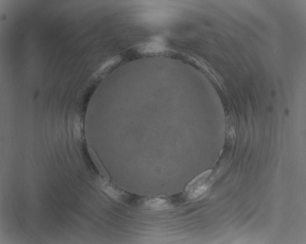 X0000051890669200506241350