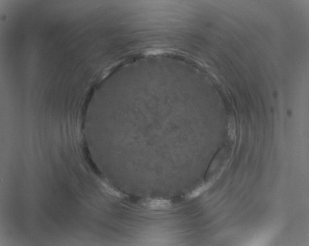 X0000051890670200506241350