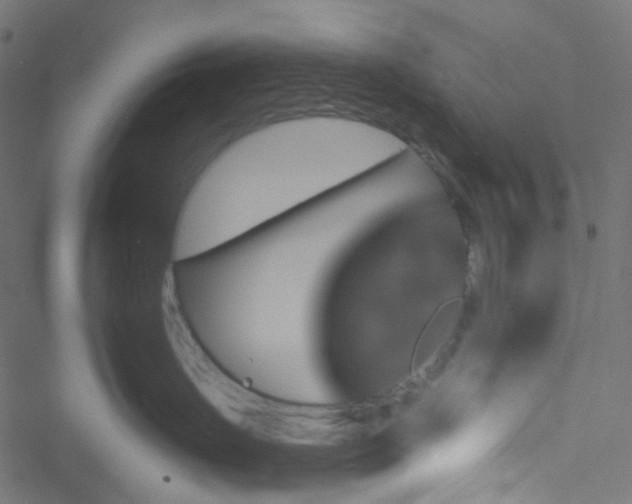 X0000051890671200506241350