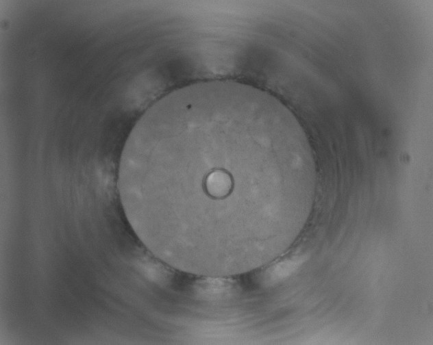 X0000051890672200506241350