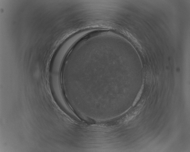 X0000051890673200506241350