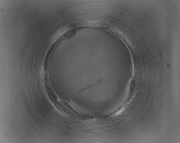 X0000051890674200506241350