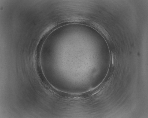 X0000051890675200506241350