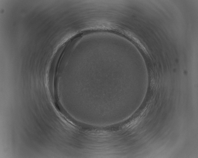 X0000051890677200506241350