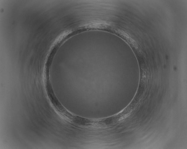 X0000051890678200506241350