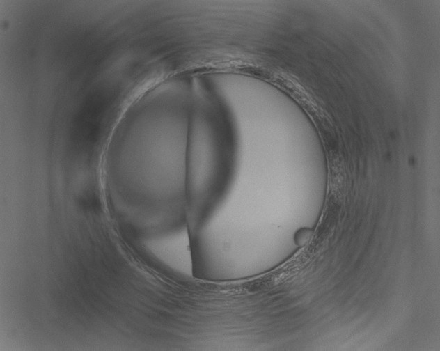 X0000051890679200506241350