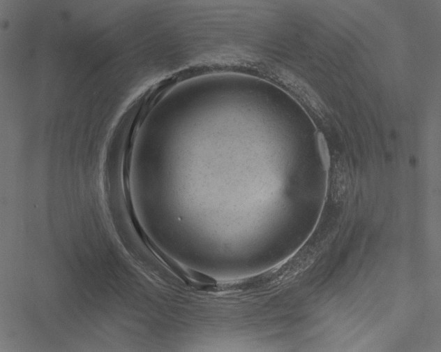 X0000051890680200506241349