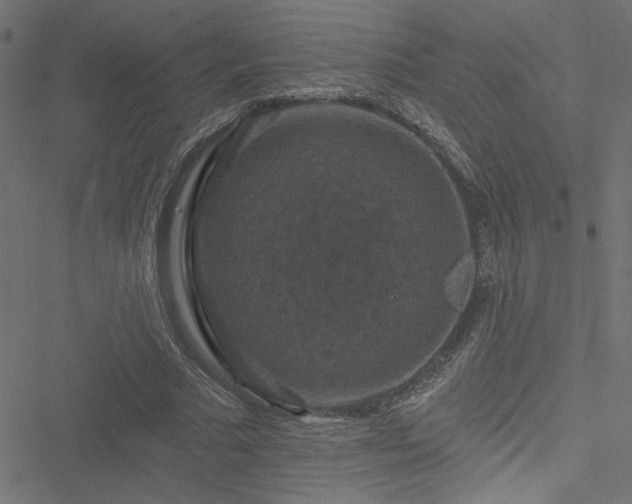 X0000051890681200506241349