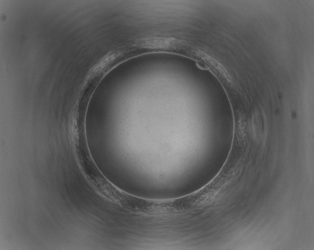 X0000051890682200506241349