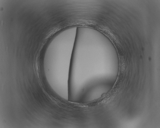 X0000051890683200506241349