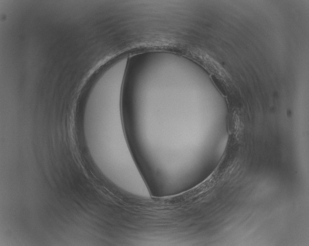 X0000051890684200506241349