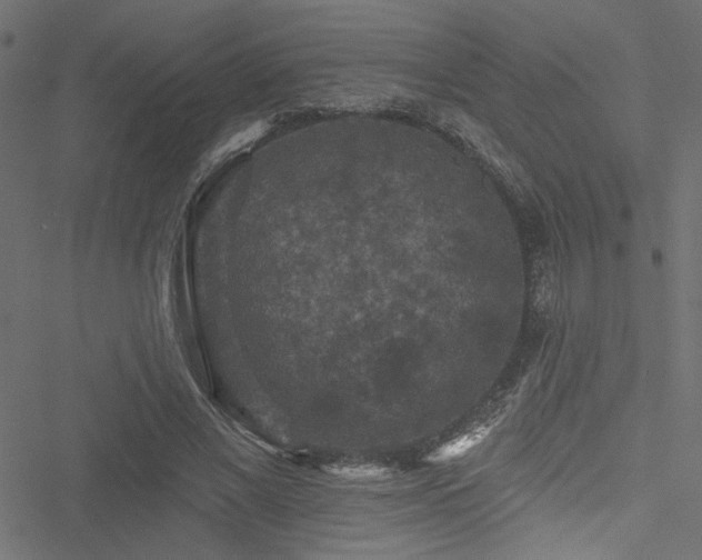 X0000051890685200506241349