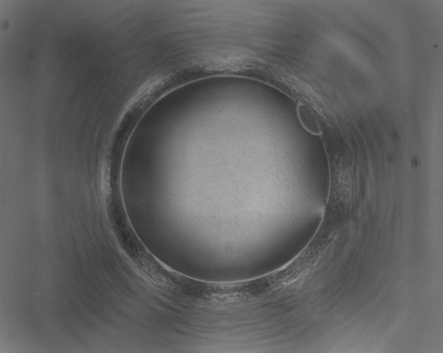 X0000051890686200506241349