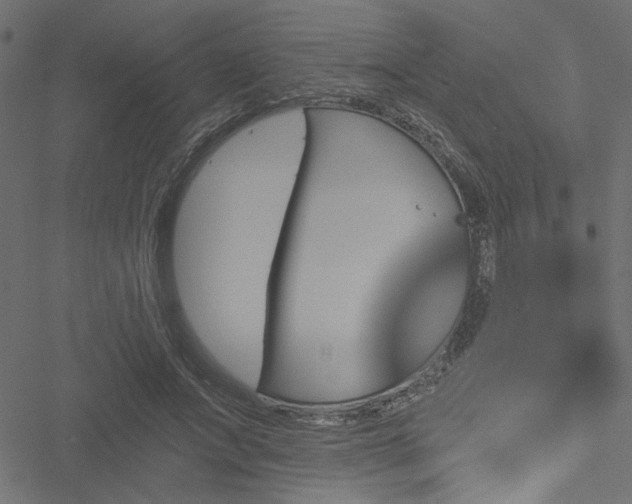 X0000051890687200506241349