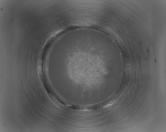 X0000051890688200506241349