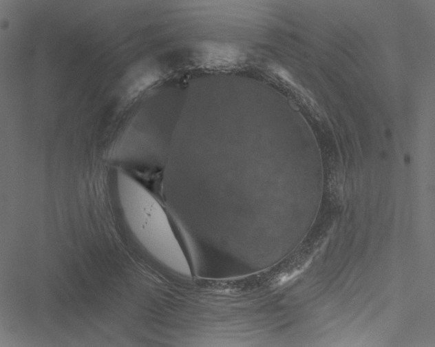 X0000051890689200506241349