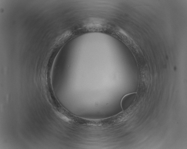 X0000051890690200506241349