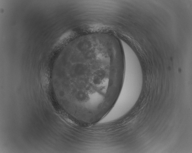 X0000051890691200506241349