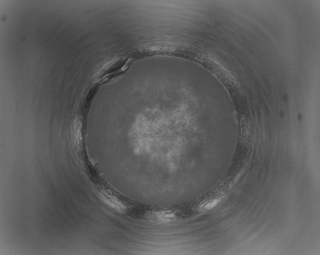 X0000051890692200506241349