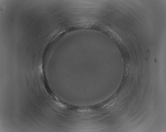 X0000051890693200506241349