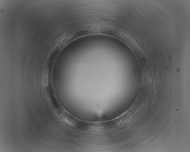 X0000051890694200506241349