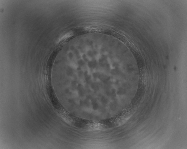 X0000051890695200506241349