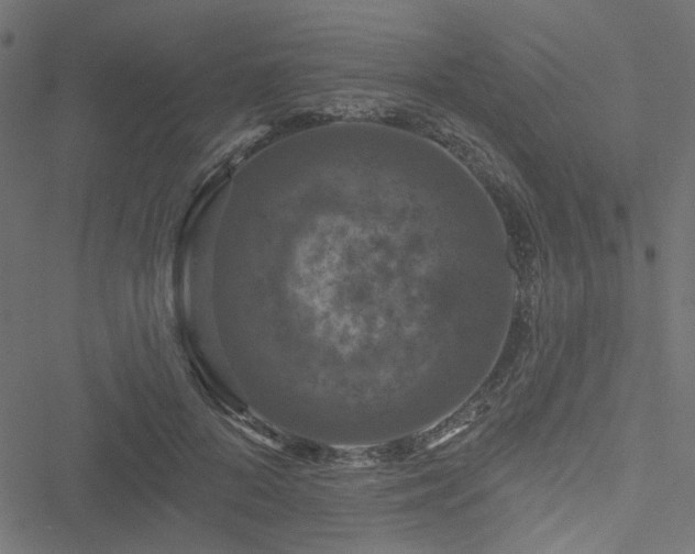 X0000051890696200506241349