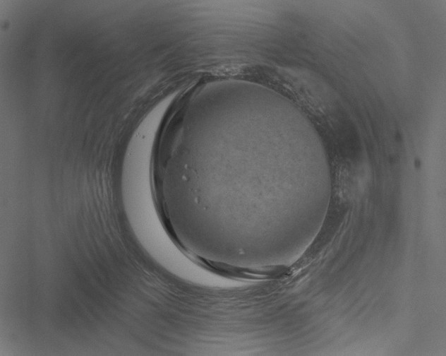 X0000051890697200506241349