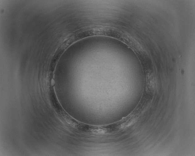 X0000051890698200506241349