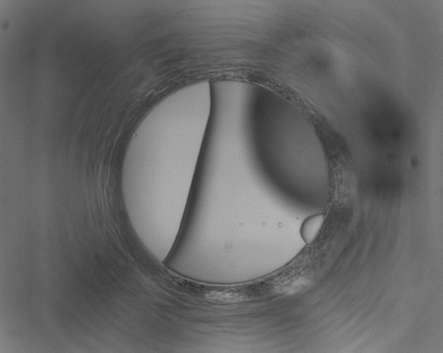 X0000051890699200506241349