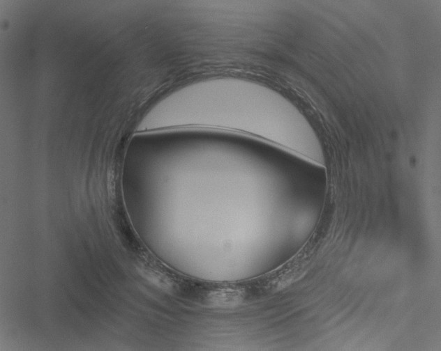 X0000051890700200506241349