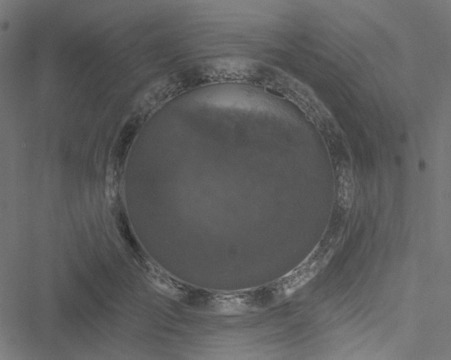 X0000051890701200506241349