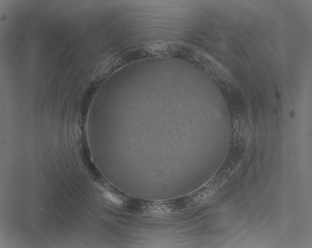 X0000051890702200506241349