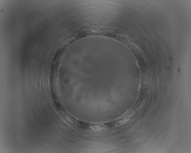 X0000051890703200506241349