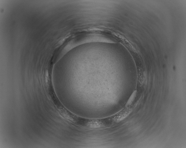 X0000051890704200506241349