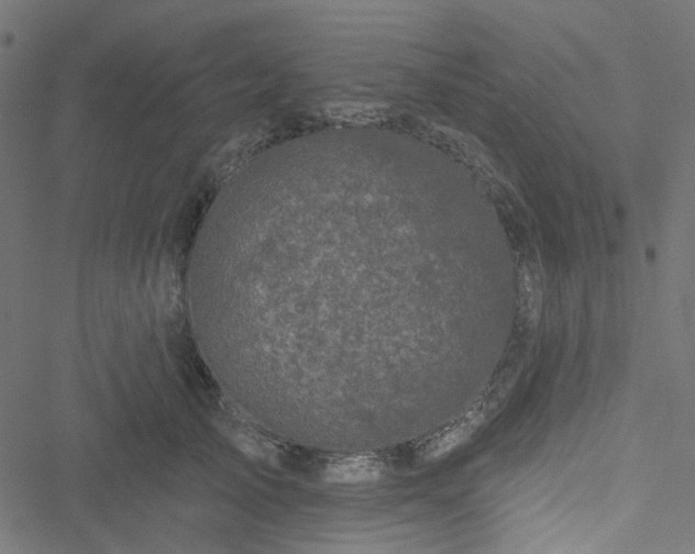 X0000051890705200506241349