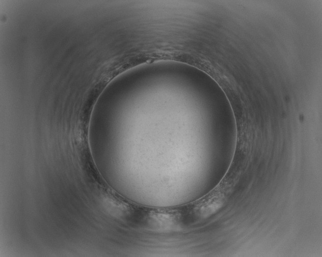 X0000051890706200506241349