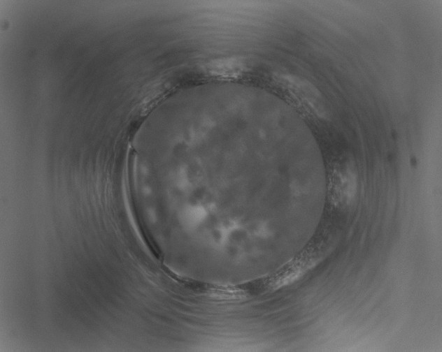 X0000051890707200506241349