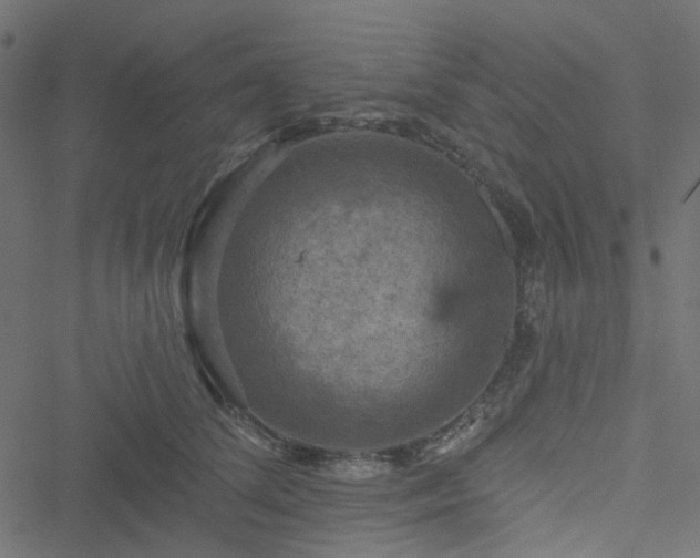 X0000051890708200506241349