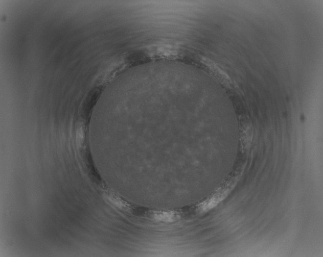 X0000051890709200506241349