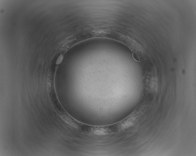 X0000051890710200506241349